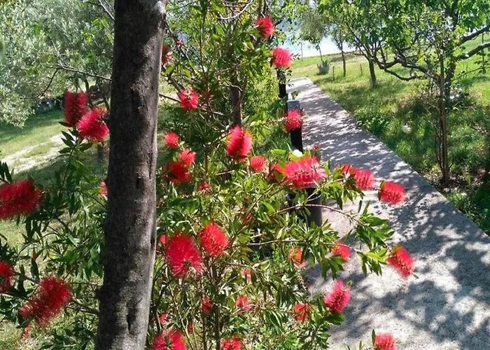 In Near Paklenica * Starigrad Paklenica