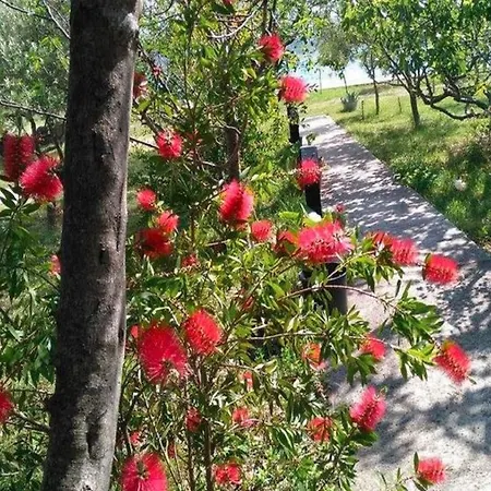 In Near Paklenica * Starigrad Paklenica