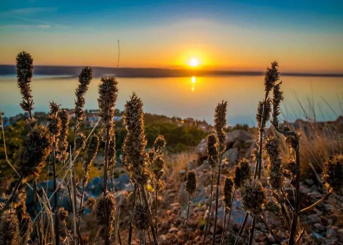 In Near Paklenica * Starigrad Paklenica